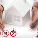 How Much Pest Control Leads Cost?