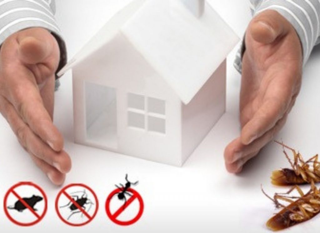 Pest Control Leads Cost